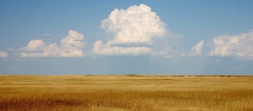 An Open Letter To The Democratic National Committee From A Rural ... - ndxplains.com