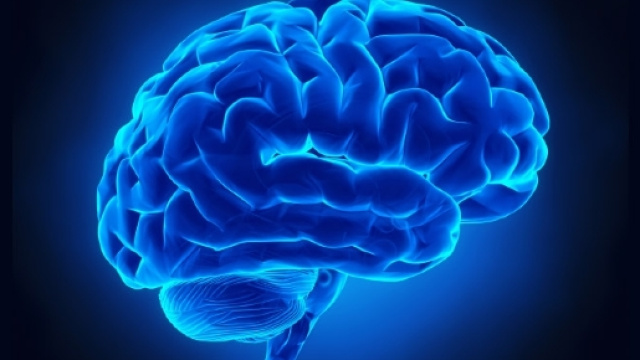 Il cervello risente di un ambiente economicamente povero