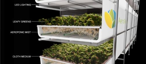 Blog - agupieware.com vertical farm