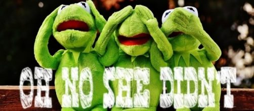 Funny Oh No She Didn't frog meme via Pixabay