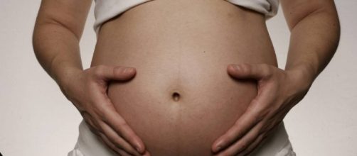 Los funcionarios vascos que opten por la gestaci&oacute;n subrogada ... - elpais.com