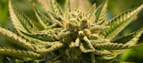 Photo via Pixabay by futurefilmworks / Public Domain