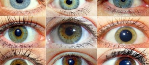 Todas as cores s&atilde;o lindas e cada uma revela suas particularidades