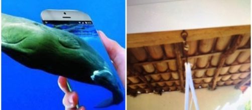 Adolescente comete suic&iacute;dio em varanda e hotel