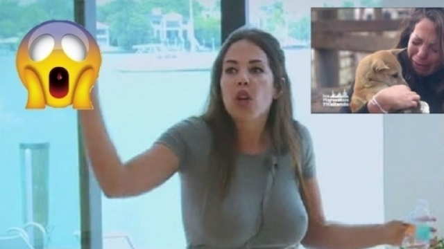 Kim balance sur sa fin d'aventure dans Les Anges 9