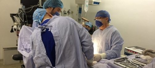 Health workers and Brexit / Photo by Creative Commons Zero - CC0. Maxpixel