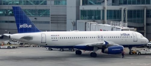 Photo via Wikimedia by Anna Zvereva / CC BY-SA 2.0