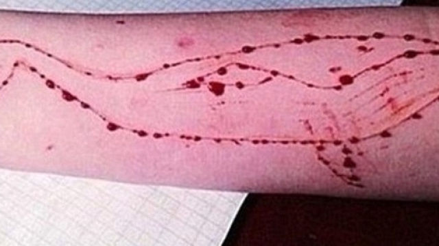 Blue Whale: pi&ugrave; che gioco, un pericoloso girotondo di morte che &egrave; ... - ultimavoce.it