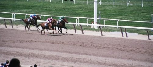Belmont Stakes 2017 - [Image - Public Domain, Wikimedia Commons]