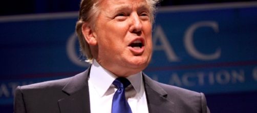 Donald Trump | by Gage Skidmore via flickr