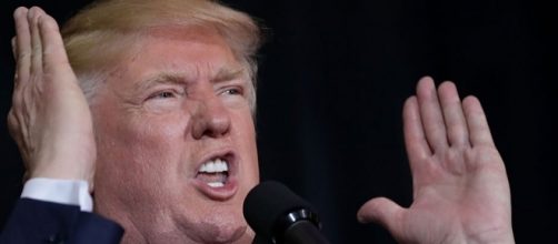 Trump Argentina Phone Call: Did Donald Trump Ask Argentina's ... - inquisitr.com