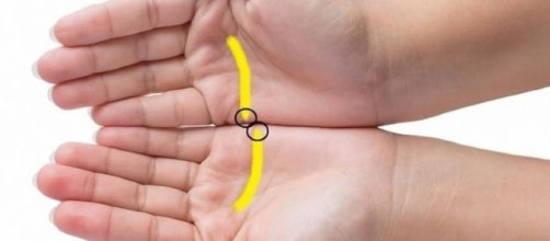 Veja o que as linhas do cora&ccedil;&atilde;o revela sobre a sua vida amorosa