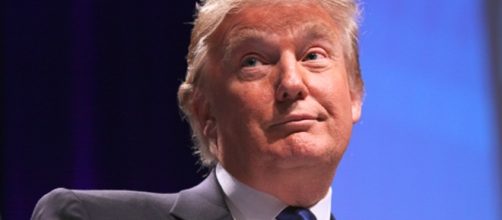 Donald Trump | by Gage Skidmore via flickr