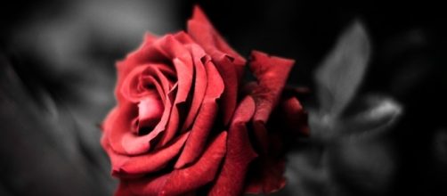 Image from Blasting News Image Library.