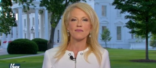 Kellyanne Conway on Fox News, via Twitter