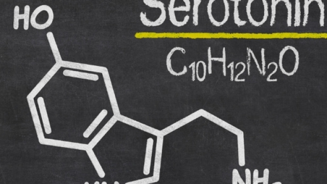La serotonina | - serenamissori.it