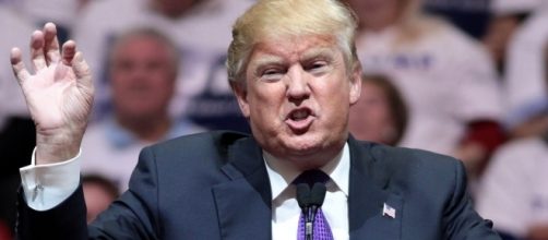 37 Pieces Of Hope If You're Terrified Of The Next Four Years - theodysseyonline.com