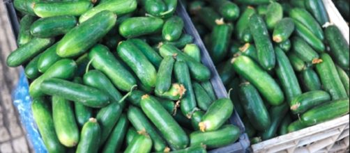 Cooling cucumbers / Guillaume Paumier via wikimedia