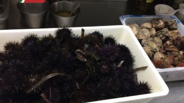 guardia costiera brindisi - canale189.it