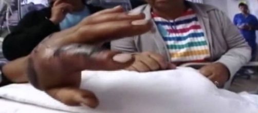 Ap&oacute;s picada de cobra venenosa, casal planejava morrer juntos (Foto: Reprodu&ccedil;&atilde;o)