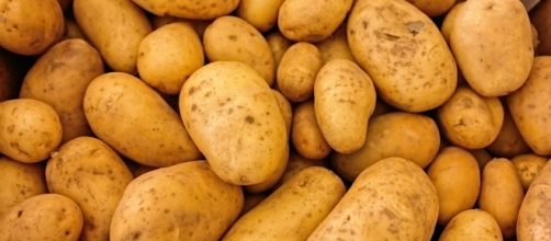 China plans to grow potato on the moon. Source: Pixabay