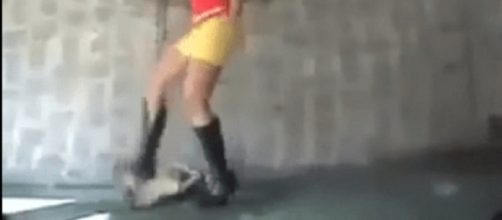 Mulher &eacute; presa ap&oacute;s espancar cachorro at&eacute; a morte