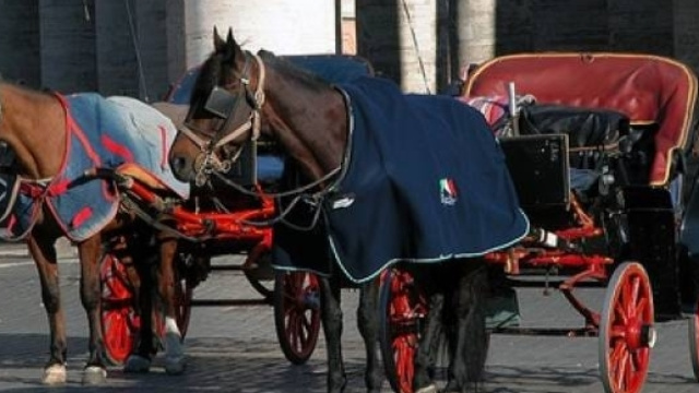 Addio per sempre alle botticele, le carrozze trainate dai cavalli, a Roma? Pare proprio di s&igrave; ma i vetturini annunciano che daranno battaglia.