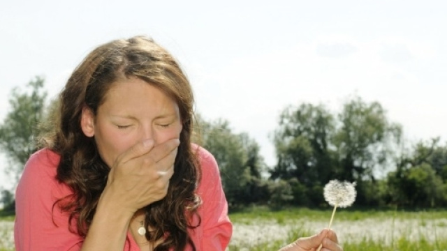 Allergie, un test ne svela 244