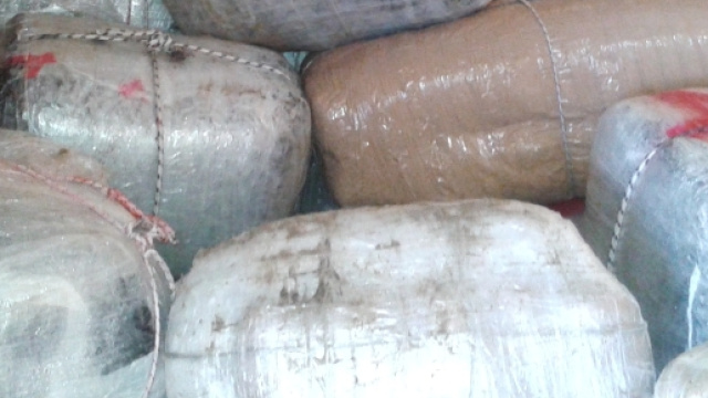 Maxi-sequestro di droga nel molisano