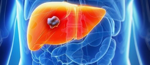 Conhe&ccedil;a fatores que prejudicam o f&iacute;gado e quase ningu&eacute;m percebeu