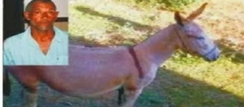 Homem morre ap&oacute;s receber coice de jumenta na Para&iacute;ba. Foto/Reprodu&ccedil;&atilde;o