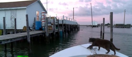 Tangier Island - Image via YouTube Screencap/ RT Documentary