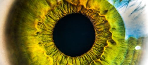 Floaters hide inside your eye and are not visible from the outside - image sourced from Pexels.com