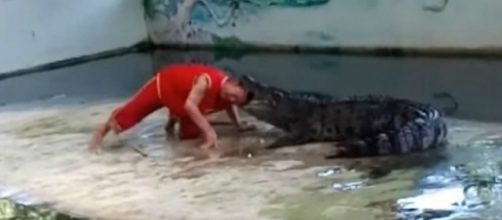 Homem rapidamente se arrependeu de sua coragem (Foto: Reprodu&ccedil;&atilde;o/ V&iacute;deo)