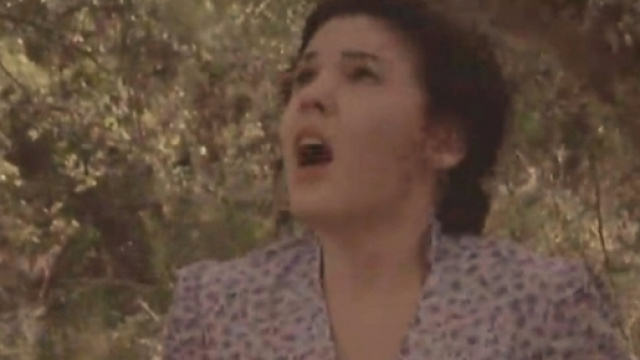 Il Segreto, spoiler Spagna: Marcela perde il bambino?