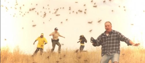 A scene from Milko Davis' new "Tsunambee" movie. / Photo via Clint Morris, October Coast PR. Used with permission.