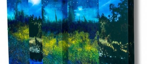 An example of one of Paul's beautiful and uniquely shaped canvases. / Photo via Paul Brandejs, used with permission.