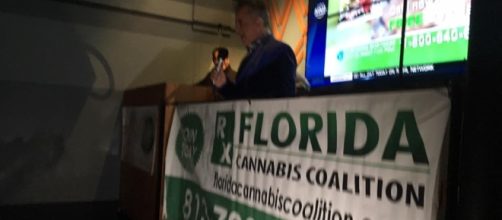 Tampa Green Carpet Networking Event by House of Jane: Photo ... - floridacannabiscoalition.com