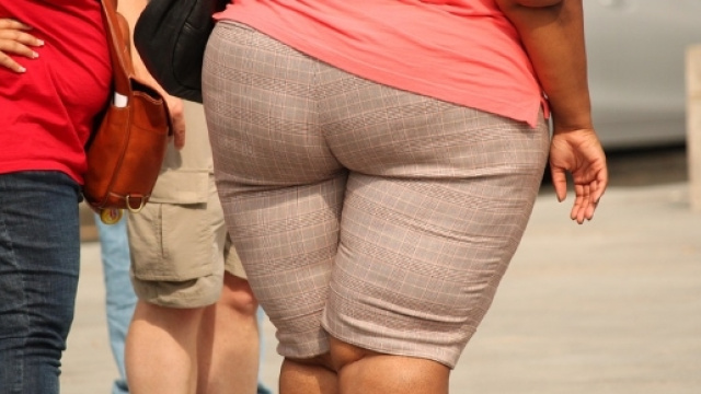 L'obesit&agrave; &egrave; un'epidemia globale - eticamente.net