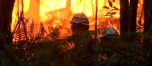 Photo Portugal forest fire screen capture from YouTube video / RT News