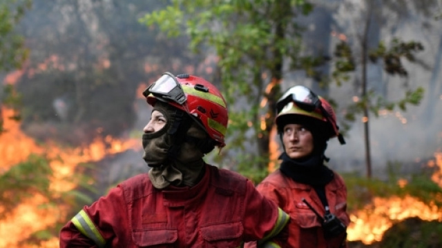 Gli incendi in Portogallo hanno provocato 62 vittime