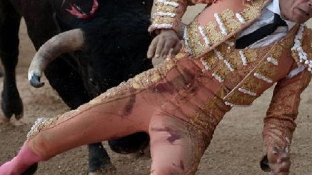 L'attimo in cui il toro incorna il torero spagnolo