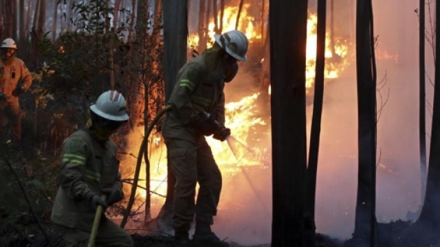Tragedia in Portogallo. L'incendio uccide 62 persone.