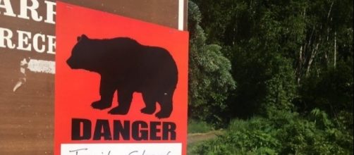 BREAKING: Teen dies after being mauled by bear -(Image source Youtube)