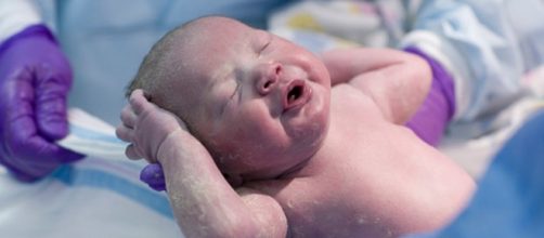 Moms: Should You Eat Your Placenta? | Wellness | US News - usnews.com