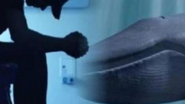 Un'immagine di repertorio per il 'gioco' Blue Whale - ilgazzettino.it