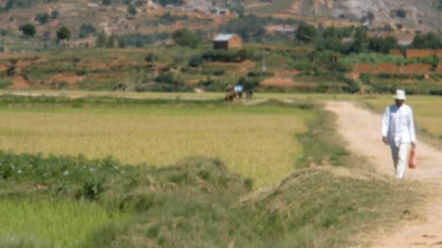 Ambamofotsy - Madagascar Copyright: Carrie Kristin (lemurbaby)