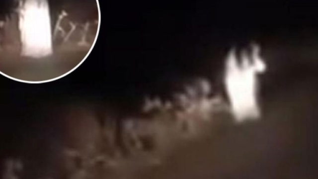 Australia, strada infestata dai fantasmi: tanti racconti