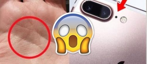 5 coisas que usamos e que n&atilde;o sabemos para que servem