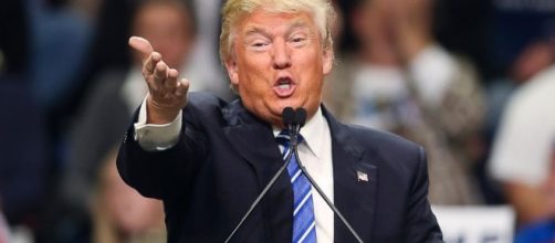 Donald Trump photo via BN library